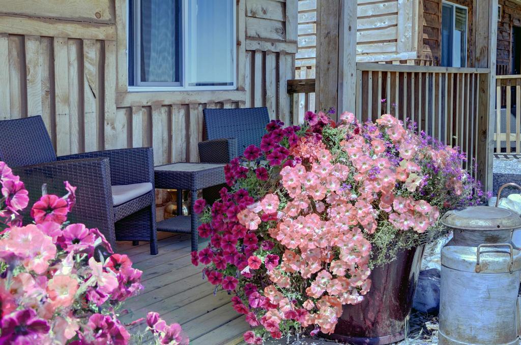 Mountain Haven Cabins Mountain View Ngoại thất bức ảnh